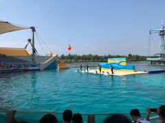 -秦皇岛乐岛海洋王国