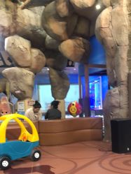 -卡通尼·Safari非洲探索乐园·生日会(金桥国际商业广场店)