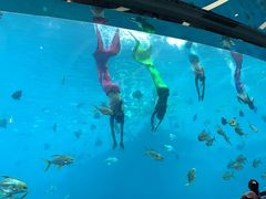 -瑞德姆美人鱼海底演艺主题餐厅(亚龙湾店)
