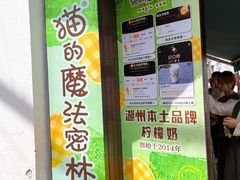 -猫的魔法密林(衣裳街店)