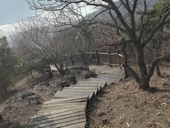 -北京十三陵国家森林公园蟒山景区