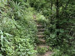 -木兰云雾山
