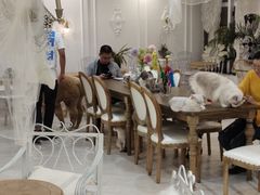 -共舞时光猫咖·狗咖(新街口店)