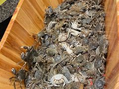 -初色海鲜自助(万丰路店)