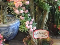 -北戴河集发农业梦想王国