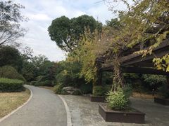 -桃花岛景观公园