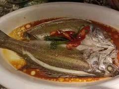 葱椒鲈鱼-绿茶餐厅(朝阳大悦城店)