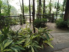 景点-南岗山公园
