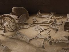 -洛阳周王城天子驾六博物馆