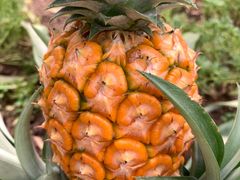 -南通洲际绿博园