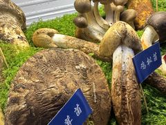 -束河人家(南锣鼓巷店)