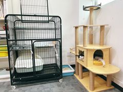 -创凡宠物医院·骨专科  猫科中心(西乡分院)