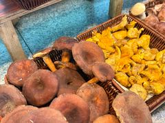 -草墩罗非鱼庄•野生菌•腊排骨(七星街上段店)