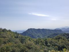 -大岭沟猕猴桃谷风景区