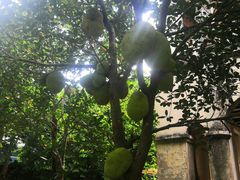 -涠洲岛-圣母堂