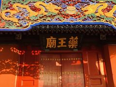 -药王庙(安国市)