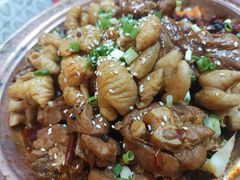 -成老灶火锅鸡·自选烧烤(汇君城店)