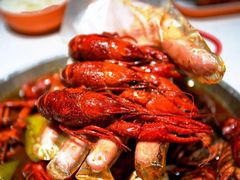 -杨氏青龙虾·羊蝎子(托乐嘉店)