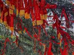 -孤山景区-孤山寺