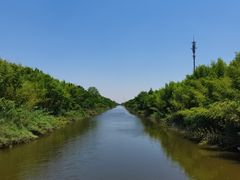 -黄海国家森林公园