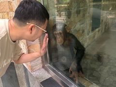 -成都动物园