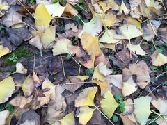 -艾溪湖湿地公园