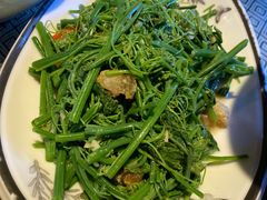 佛手瓜苗-阿谋美食·广西菜