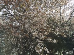 -荆川公园
