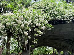 -东湖景区