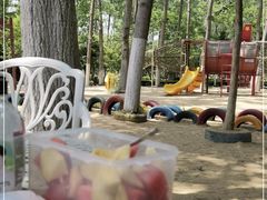 -合肥滨湖国家森林公园