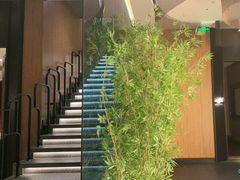 -新紫霞养生·影院足道·SPA(金山区店)