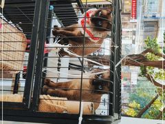-友达面馆(海珠店)