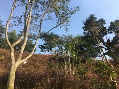 -白石龙音乐公园