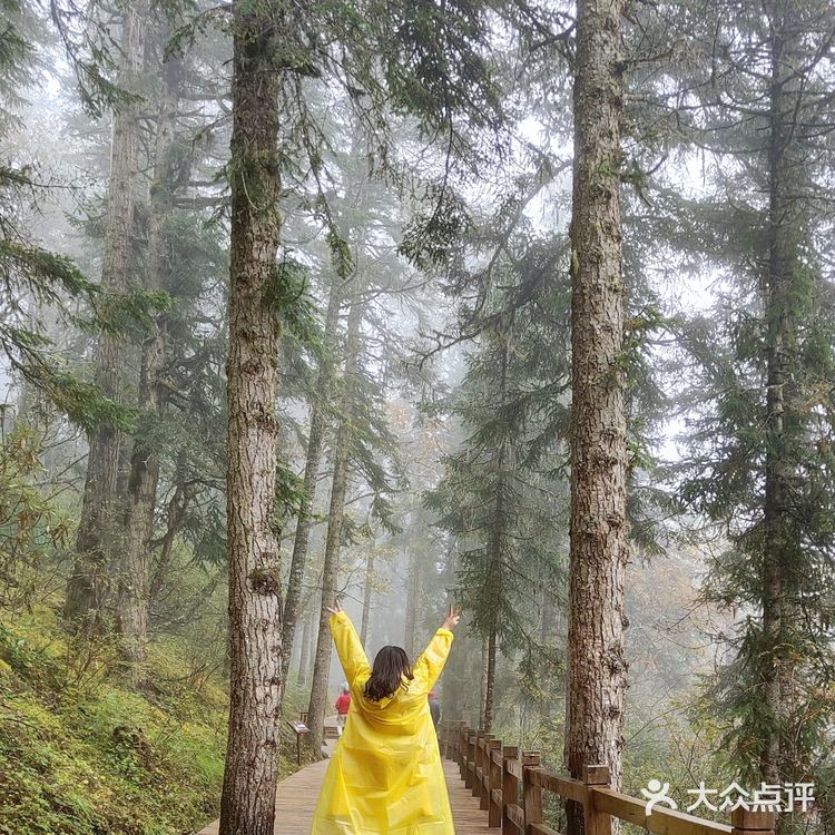 九寨沟~黄龙｜一场说走就走的旅行