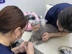 -拜鲁耶动物诊疗中心·宠家动物医院