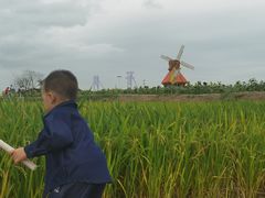 -杭州湾海上花田景区