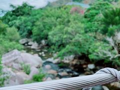 -海南热带雨林国家公园吊罗山景区