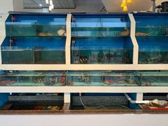 水产区-原龙海鲜大排档(美食地标店)