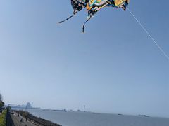 -上海滨江森林公园