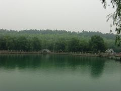 CIMG9270-旺山景区