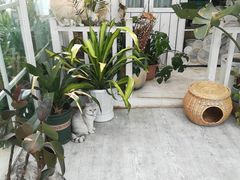 -小时光咖啡馆(北锣鼓巷店)