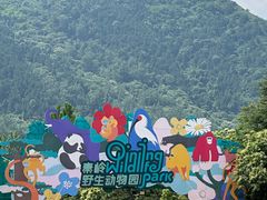 -西安秦岭野生动物园