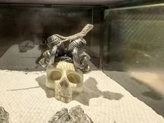 -太平洋海底世界