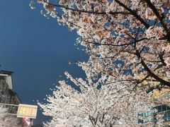 -老号尤兔头(幸福店)