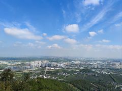 -树山生态村