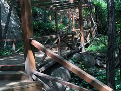 -大岭沟猕猴桃谷风景区