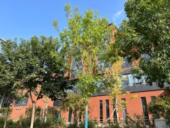 -Oasis Beauty水磨坊科技美肤中心