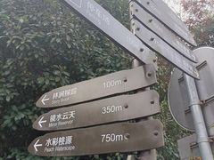 -桃花岭景区