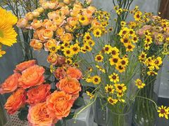 -Flower in(密渡桥店)