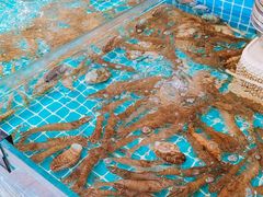 -百味饺子城•海鲜家常菜(秦皇岛店)